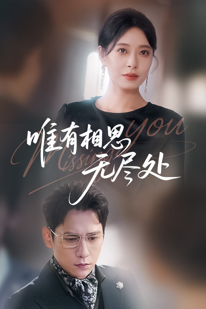 唯有相思无尽处全集