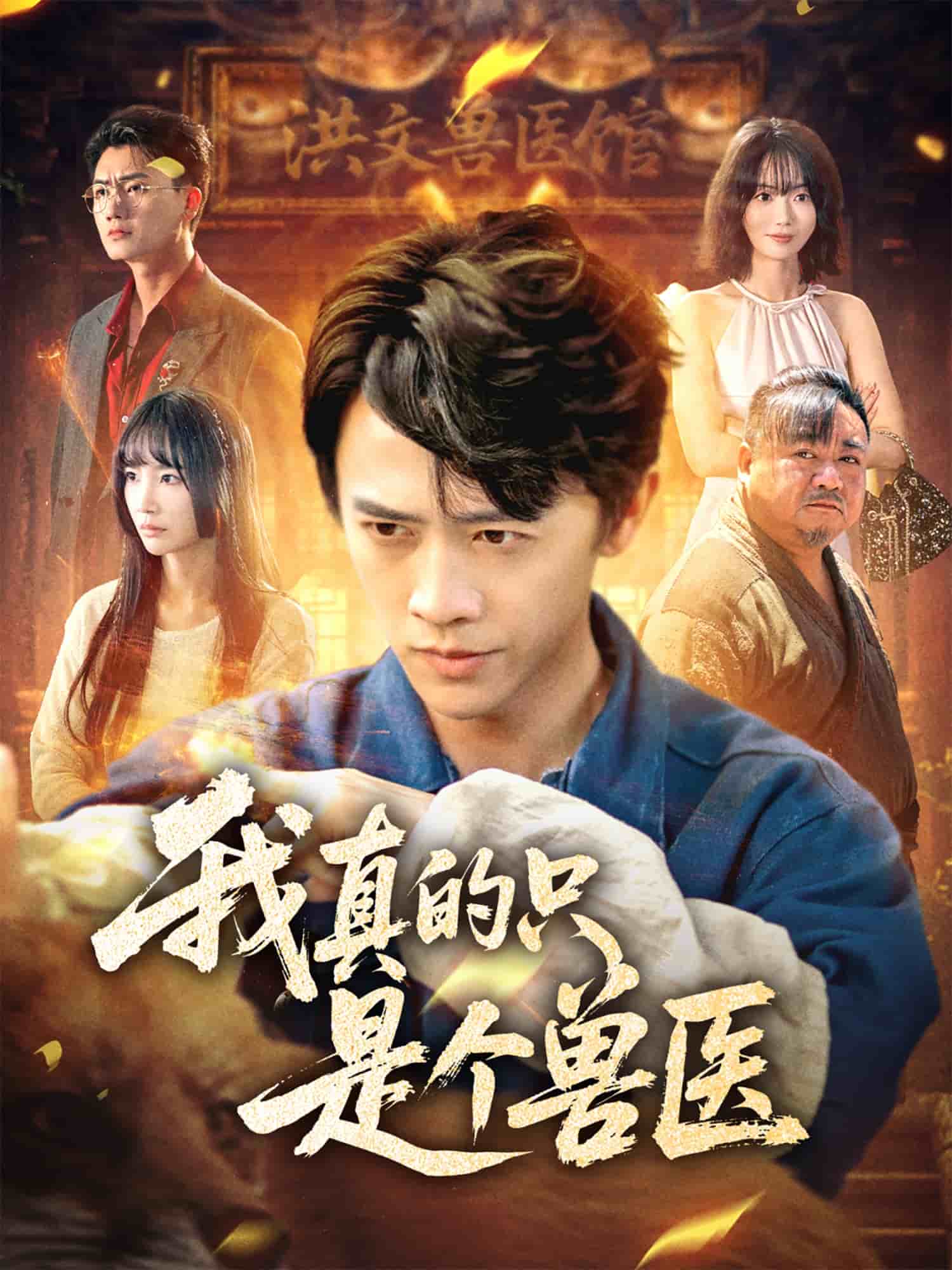 我真的只是个兽医全集