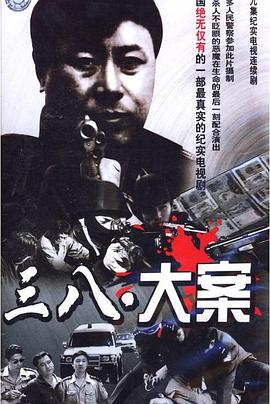 沈阳三八大案侦破纪实全集