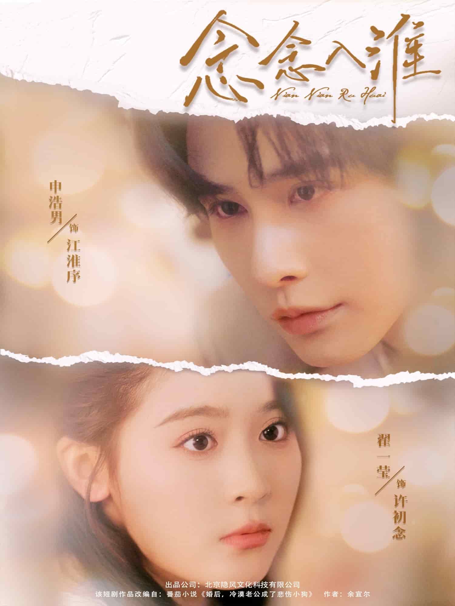 念念入淮全集