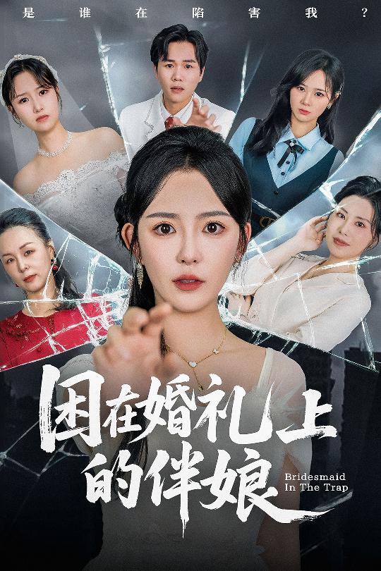 困在婚礼上的伴娘全集