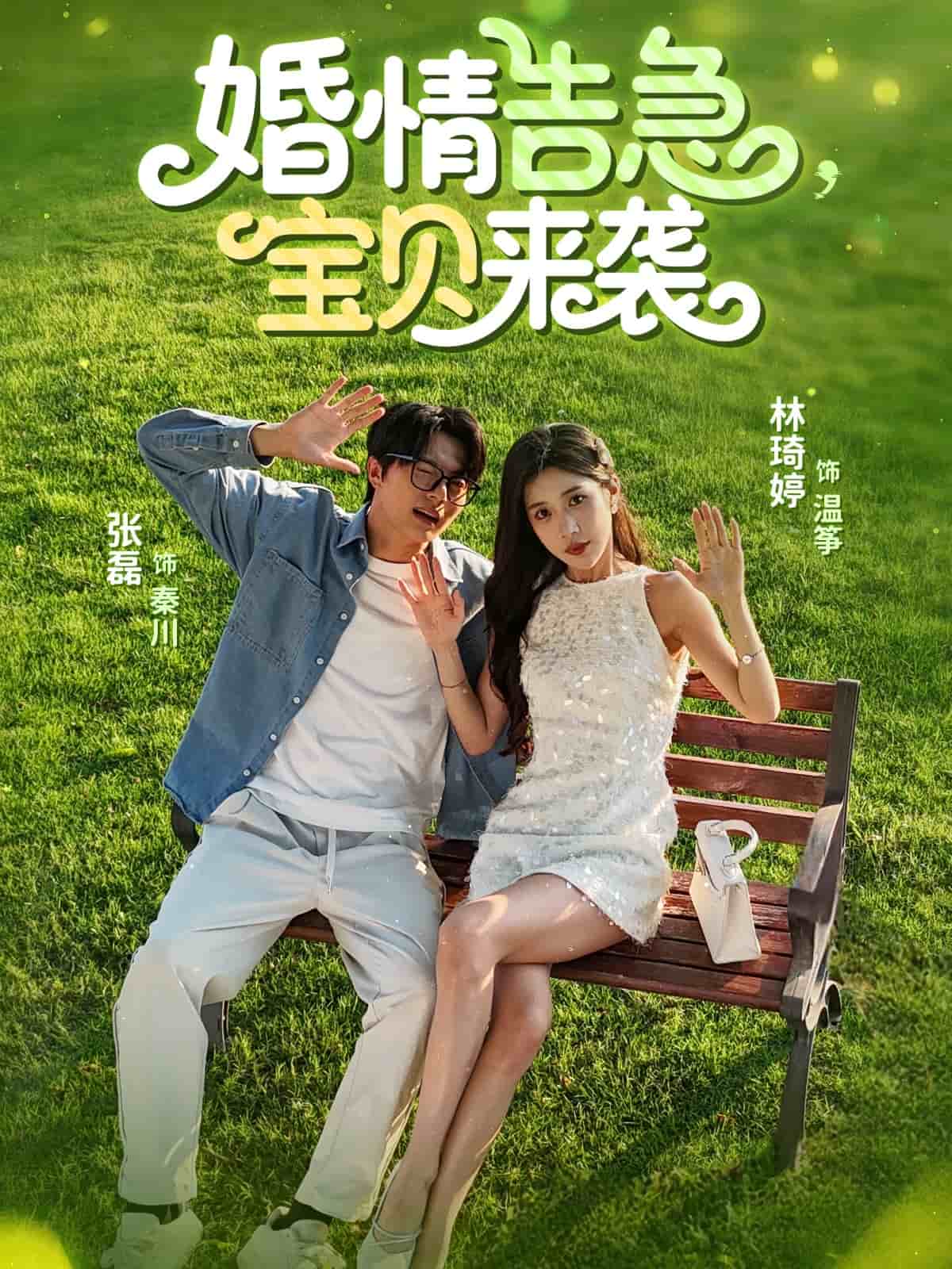 婚情告急宝贝来袭全集