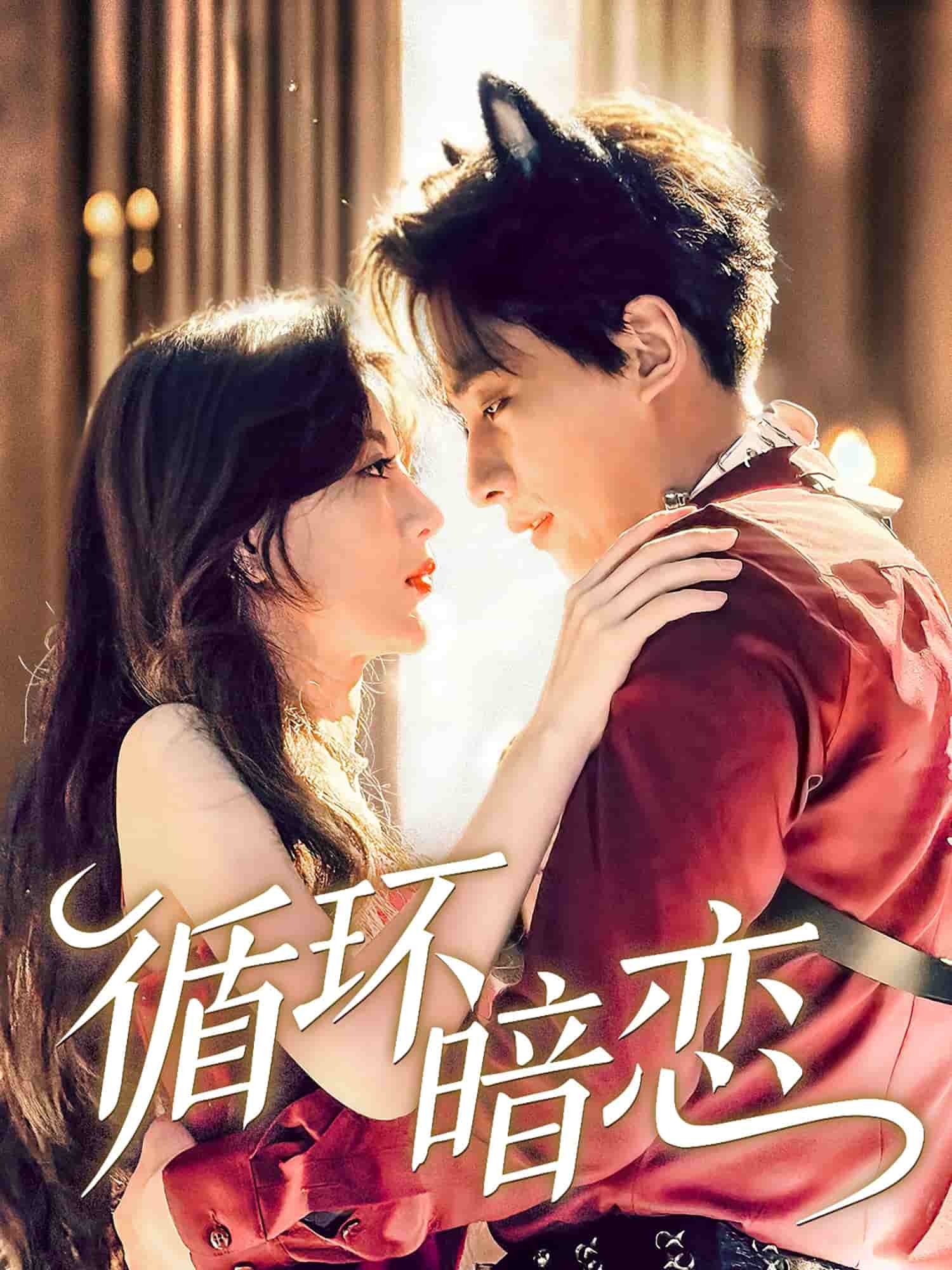 循环暗恋全集