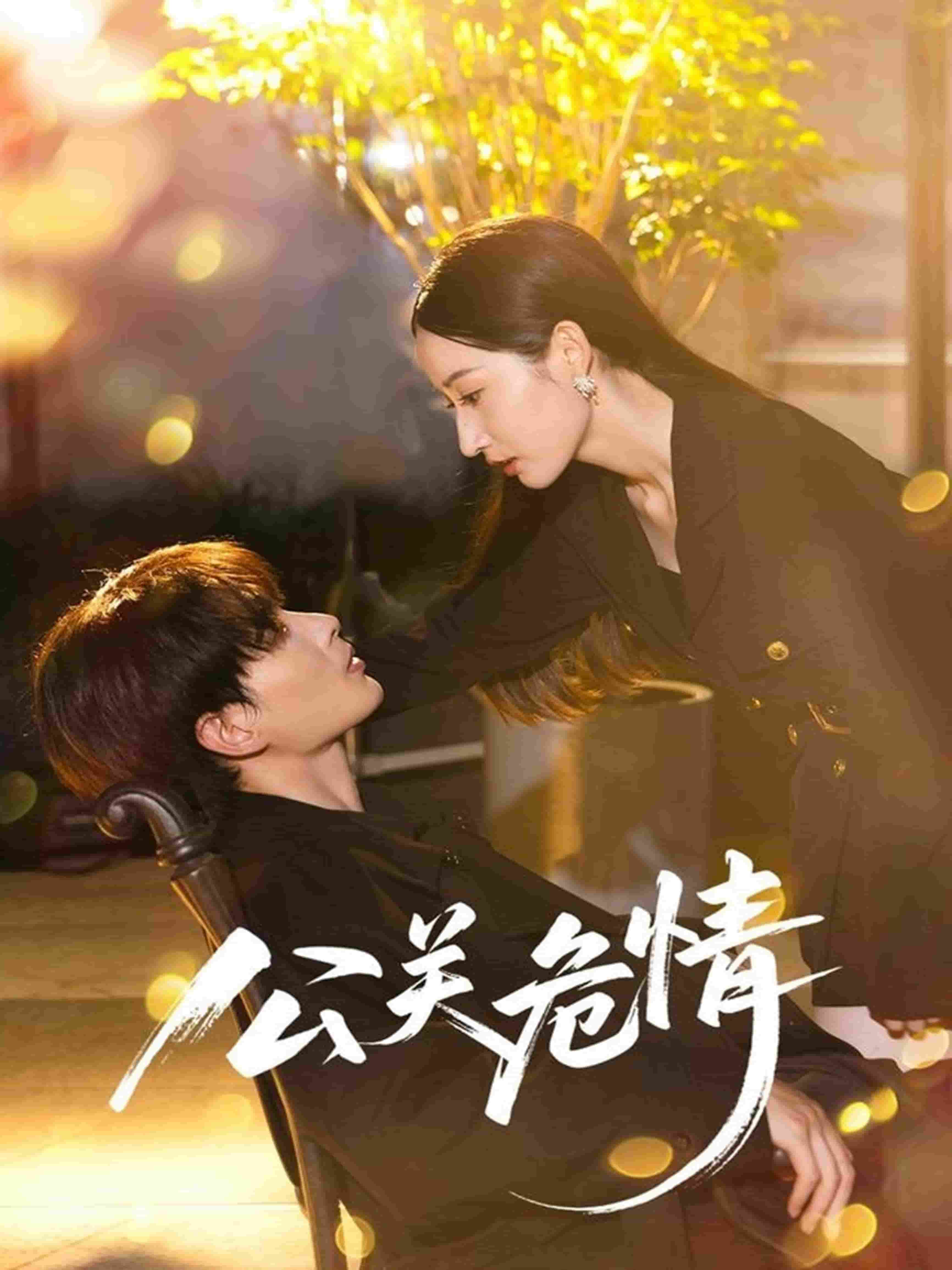 公关危情全集