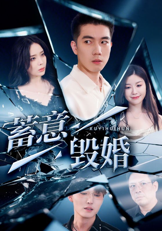 蓄意毁婚全集