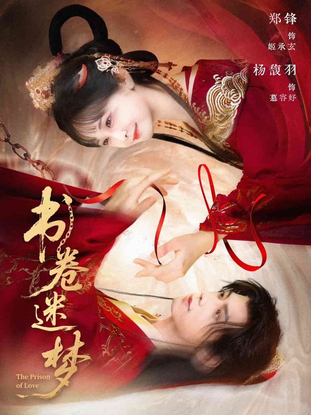 书卷迷梦全集
