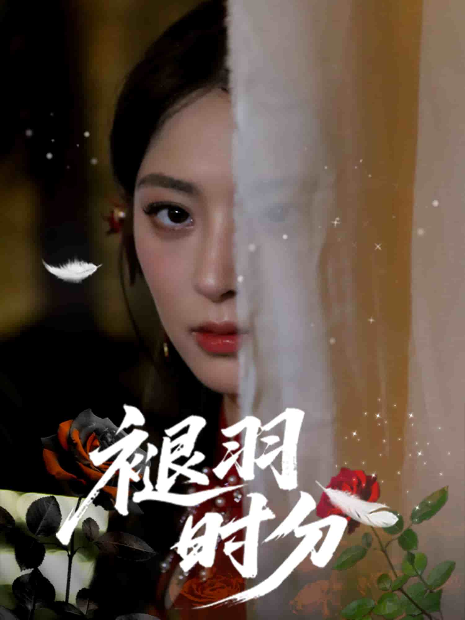 褪羽时分全集