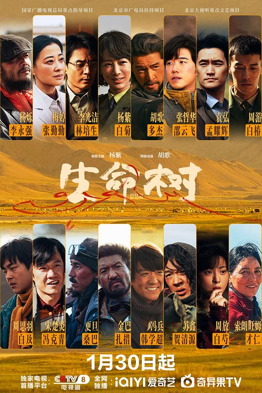 生命树全集