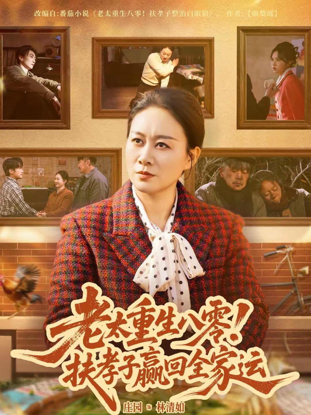 老太重生八零！扶孝子赢回全家运全集