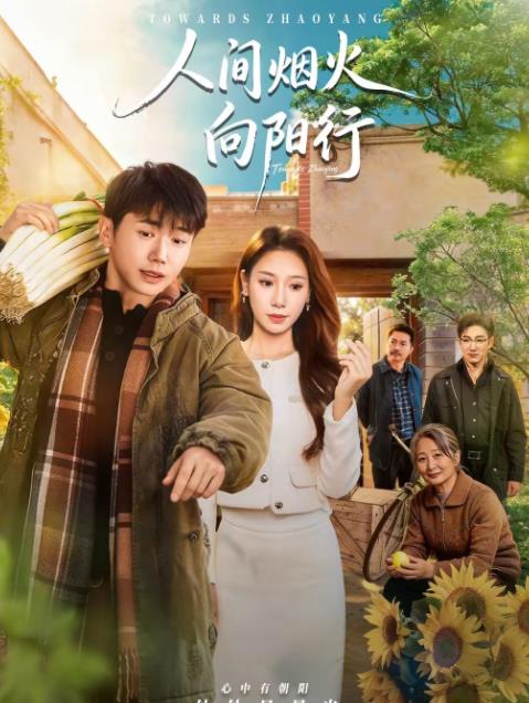 人间烟火向阳行全集