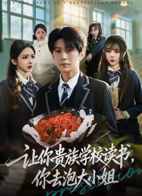 让你贵族学校读书，你去泡大小姐全集