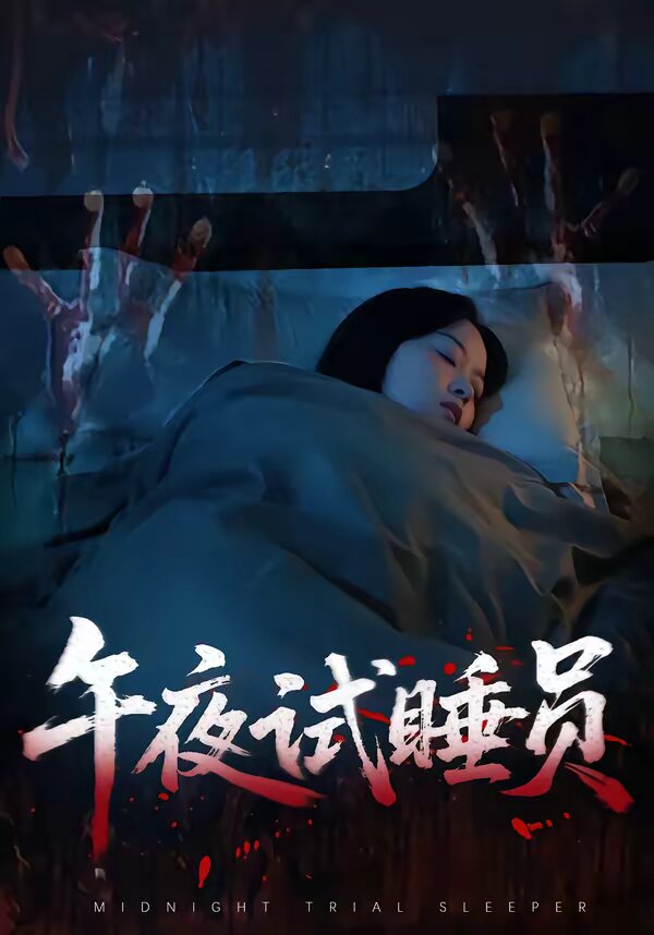 午夜试睡员全集