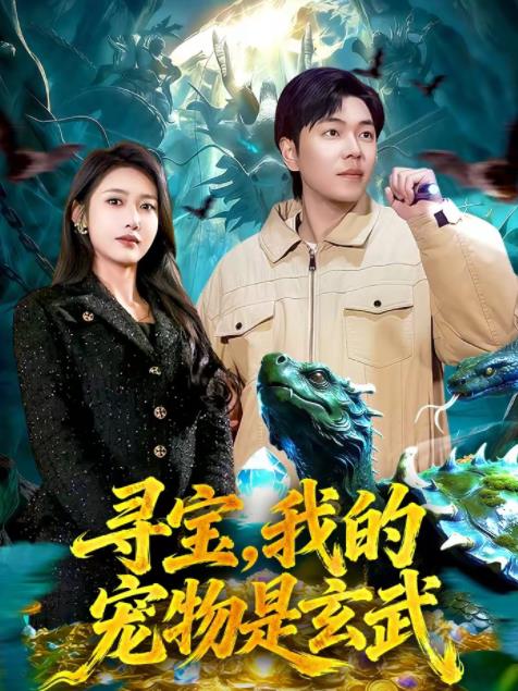 寻宝，我的宠物是玄武全集