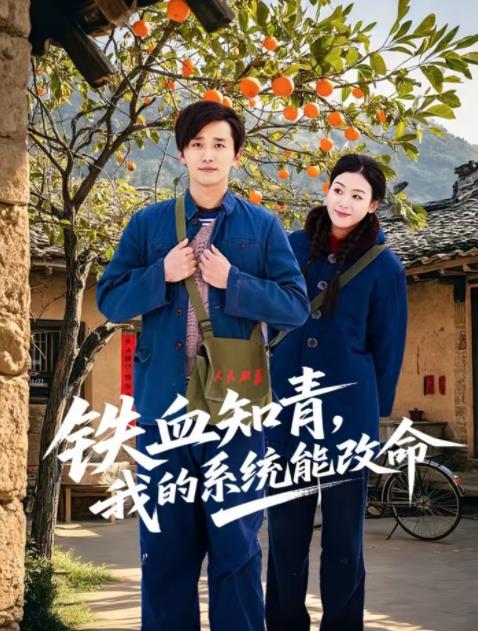 铁血知青，我的系统能改命全集