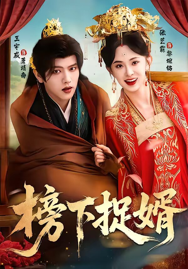 榜下捉婿全集