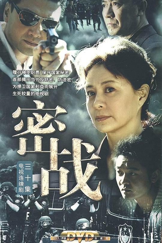 密战2009全集