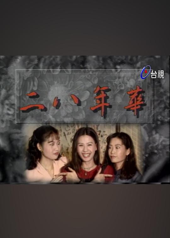 二八年华全集