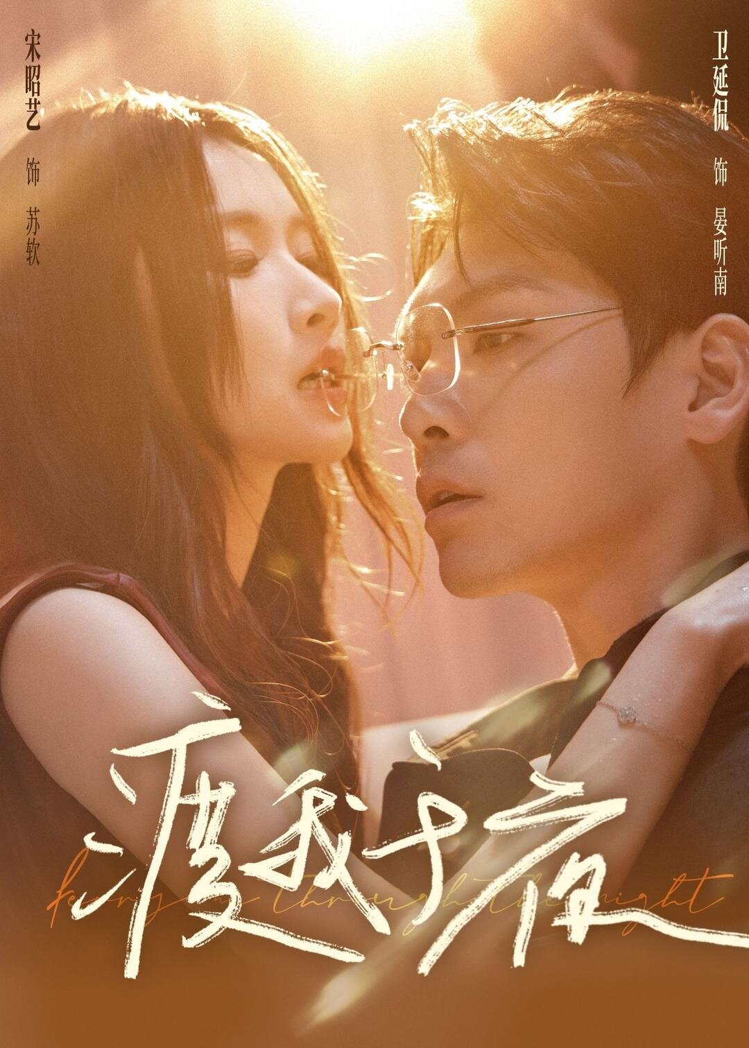 渡我于夜全集