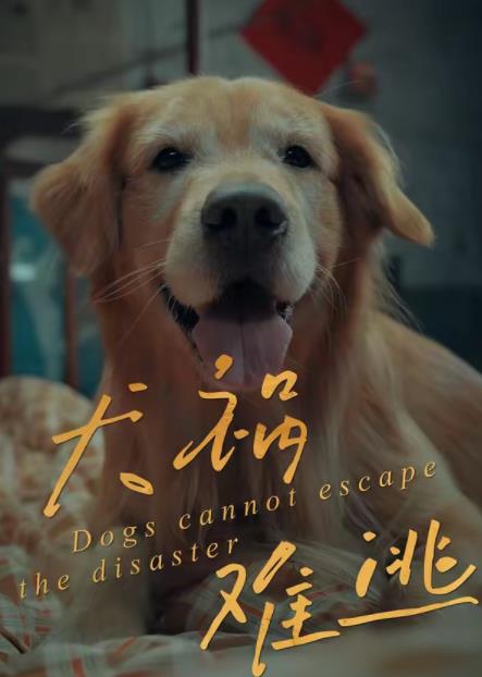 犬祸难逃全集