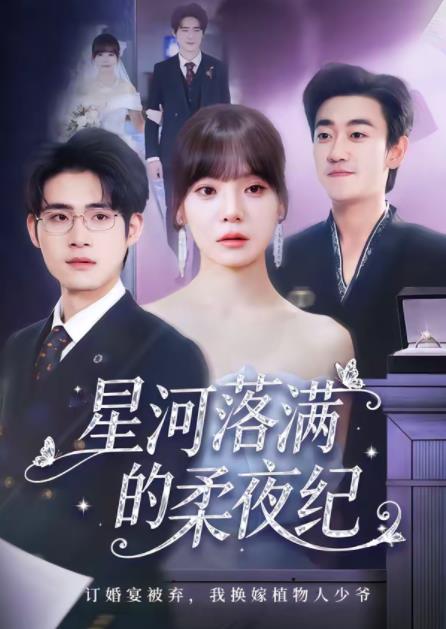 星河落满的柔夜纪全集
