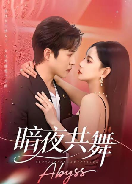 暗夜共舞全集