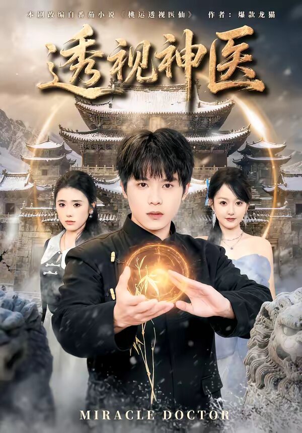 透视神医全集