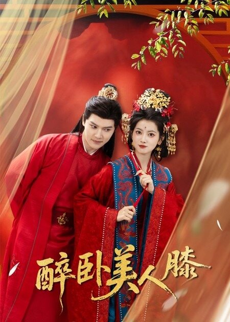 醉卧美人膝全集