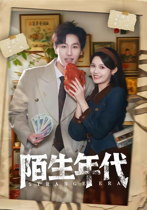 陌生年代全集