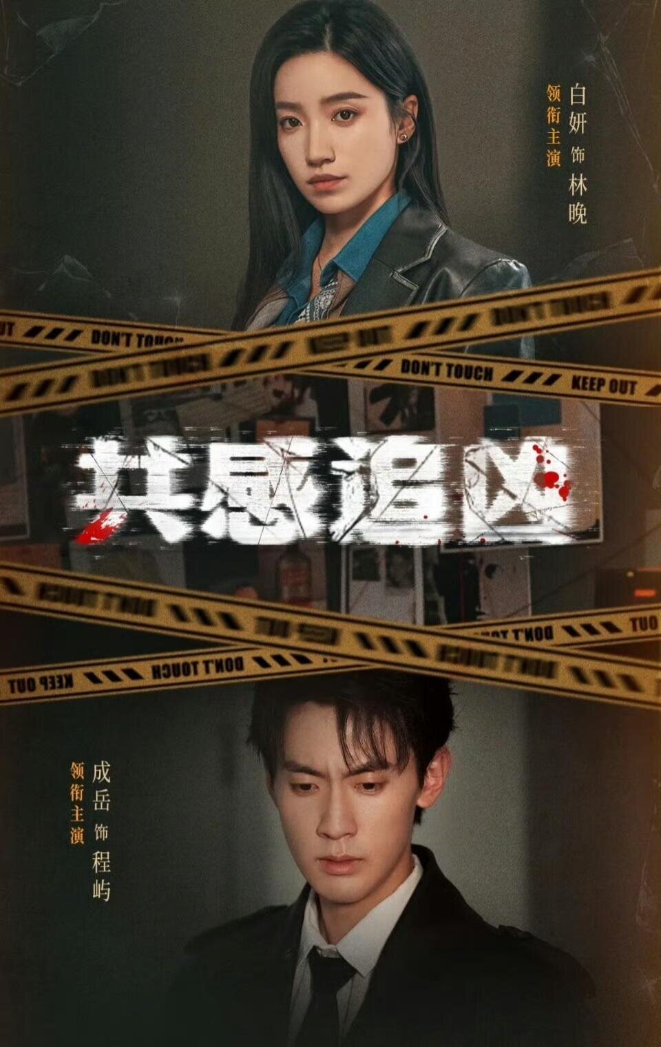 共感追凶全集