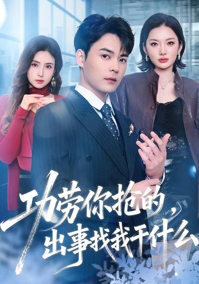 功劳你抢的，出事找我干什么全集