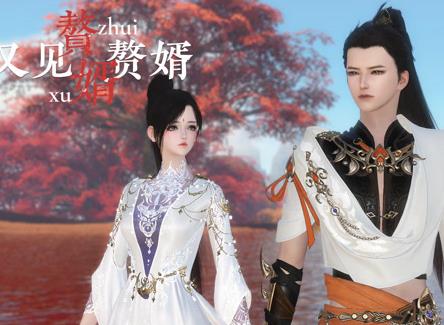 赘婿又见赘婿全集