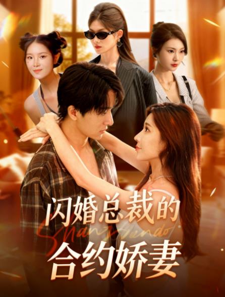 闪婚总裁契约妻全集